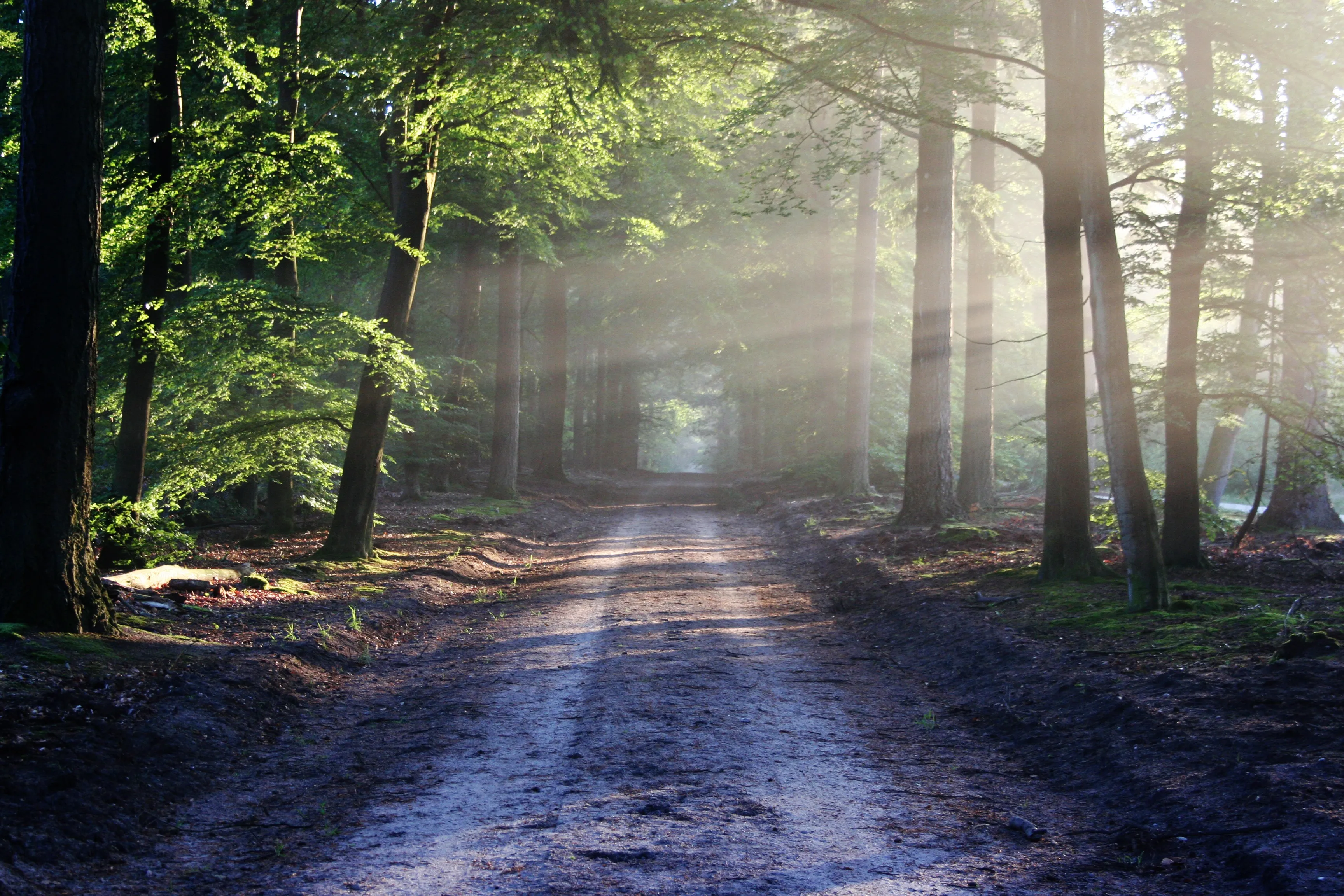 Land Conservation in Massachusetts and New England