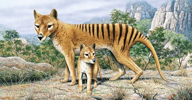 'De-Extinctionist' Discusses Relationships with Other Scientists and the Public, by Taylor Morris