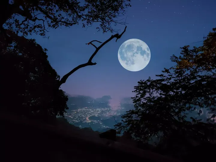 Fall 2022 Feature: Music of the Night Show Notes